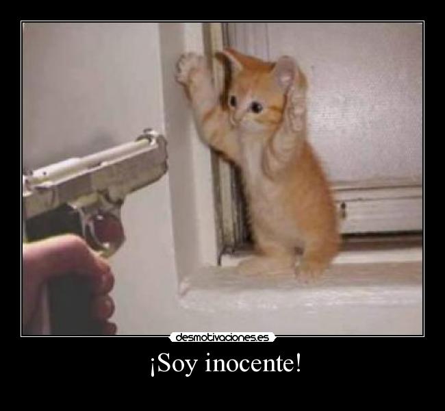 ¡Soy inocente! -