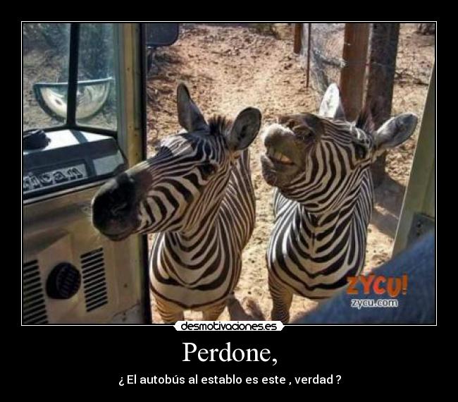 Perdone, -