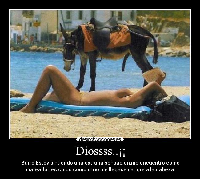 Diossss..¡¡ - Burro:Estoy sintiendo una extraña sensación,me encuentro como
mareado...es co co como si no me llegase sangre a la cabeza.