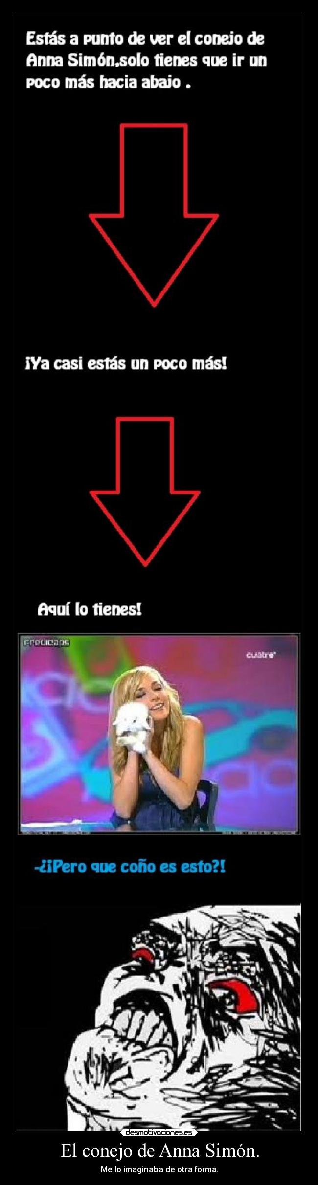 El conejo de Anna Simón. -