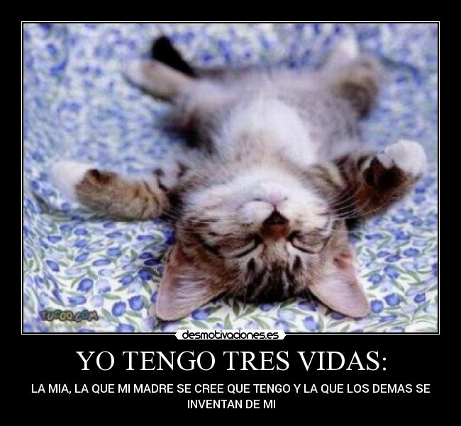 YO TENGO TRES VIDAS: - LA MIA, LA QUE MI MADRE SE CREE QUE TENGO Y LA QUE LOS DEMAS SE
INVENTAN DE MI