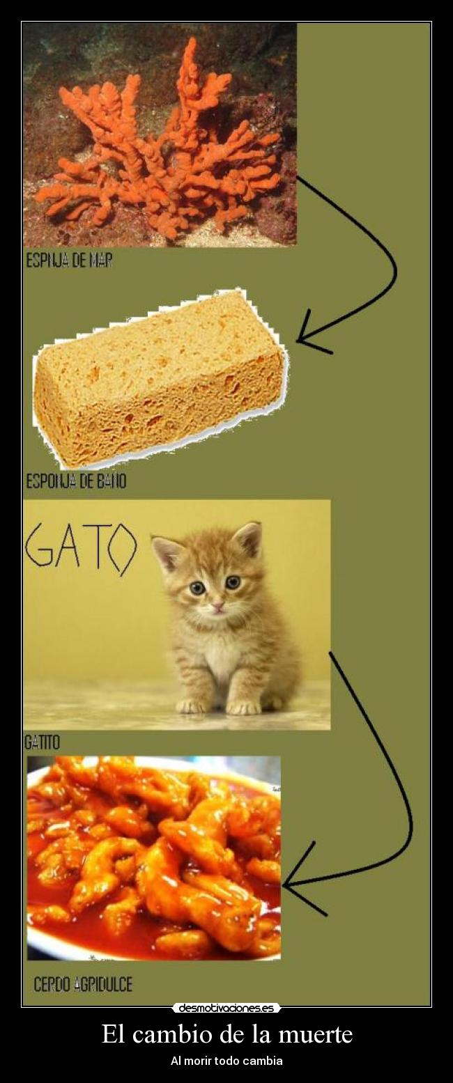 El cambio de la muerte - Al morir todo cambia
