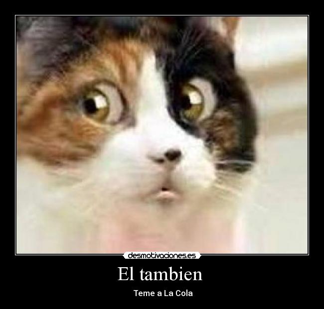 El tambien  - 