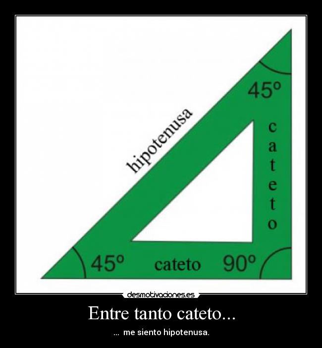Entre tanto cateto... -