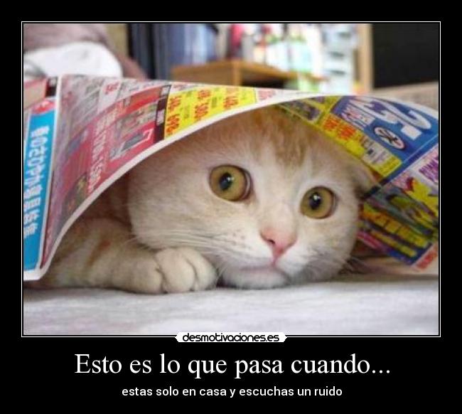 Esto es lo que pasa cuando... -