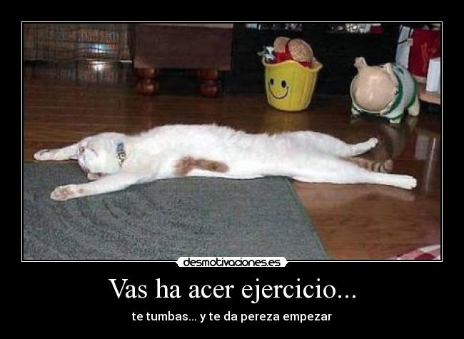 Vas ha acer ejercicio... - 