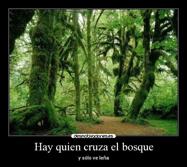 Hay quien cruza el bosque -