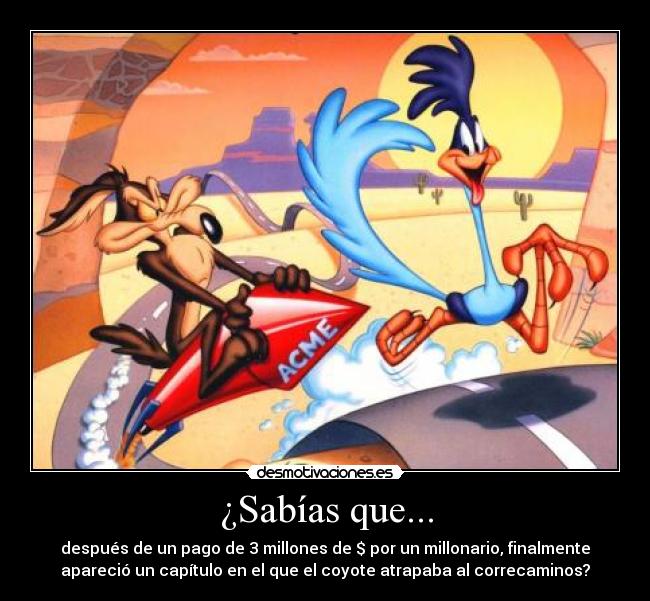 ¿Sabías que... - después de un pago de 3 millones de $ por un millonario, finalmente
apareció un capítulo en el que el coyote atrapaba al correcaminos?