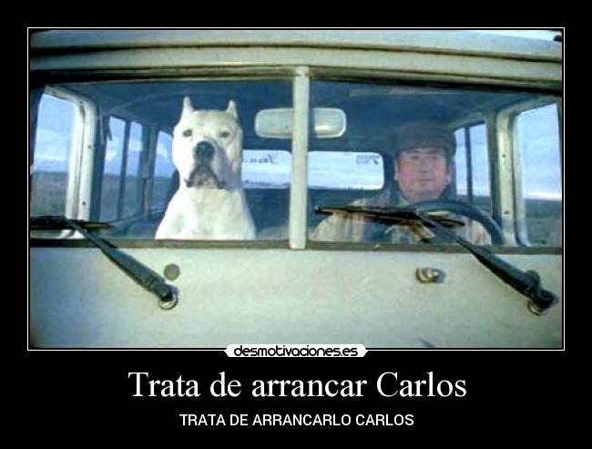 carteles trata arrancarlo desmotivaciones