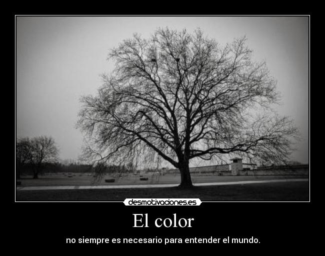 carteles color siempre necesario para entender mundo desmotivaciones