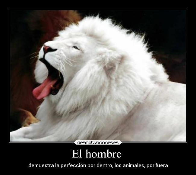 El hombre  - 
