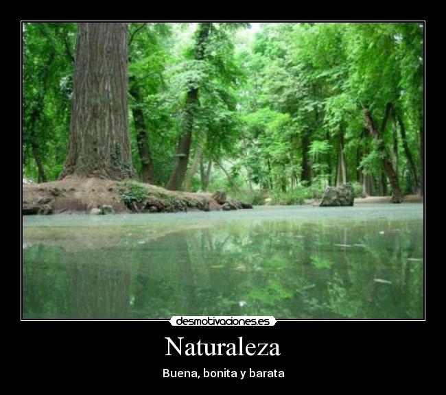 Naturaleza -