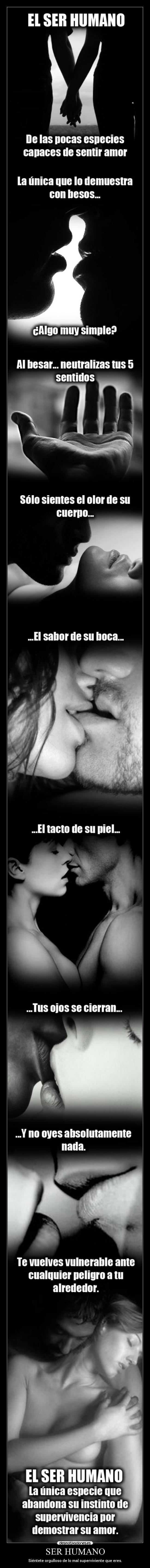 carteles ser humano sientete orgulloso mal superviviente que eres desmotivaciones