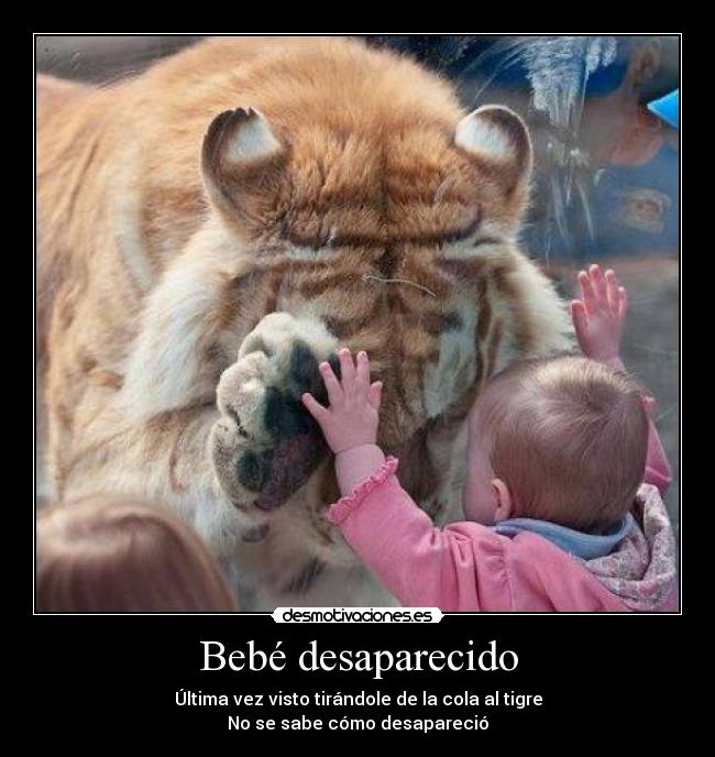 carteles tigre bebe desmotivaciones