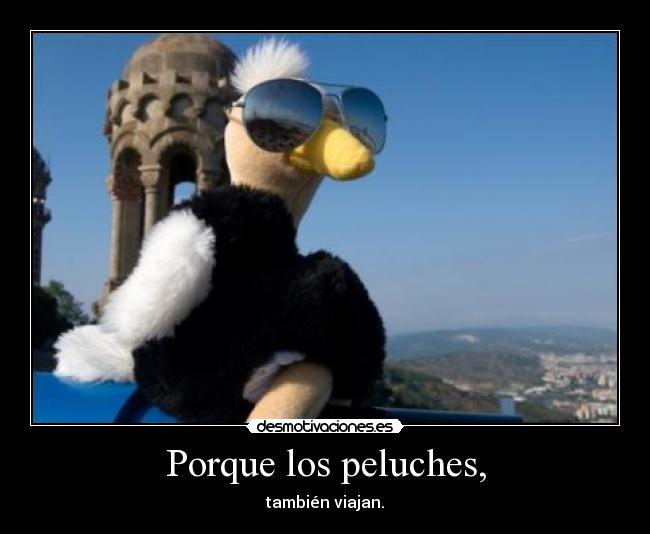 Porque los peluches, - 