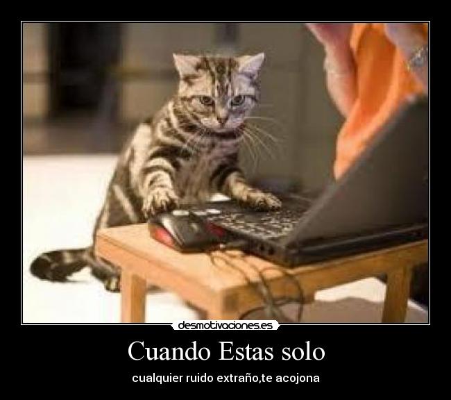 Cuando Estas solo -