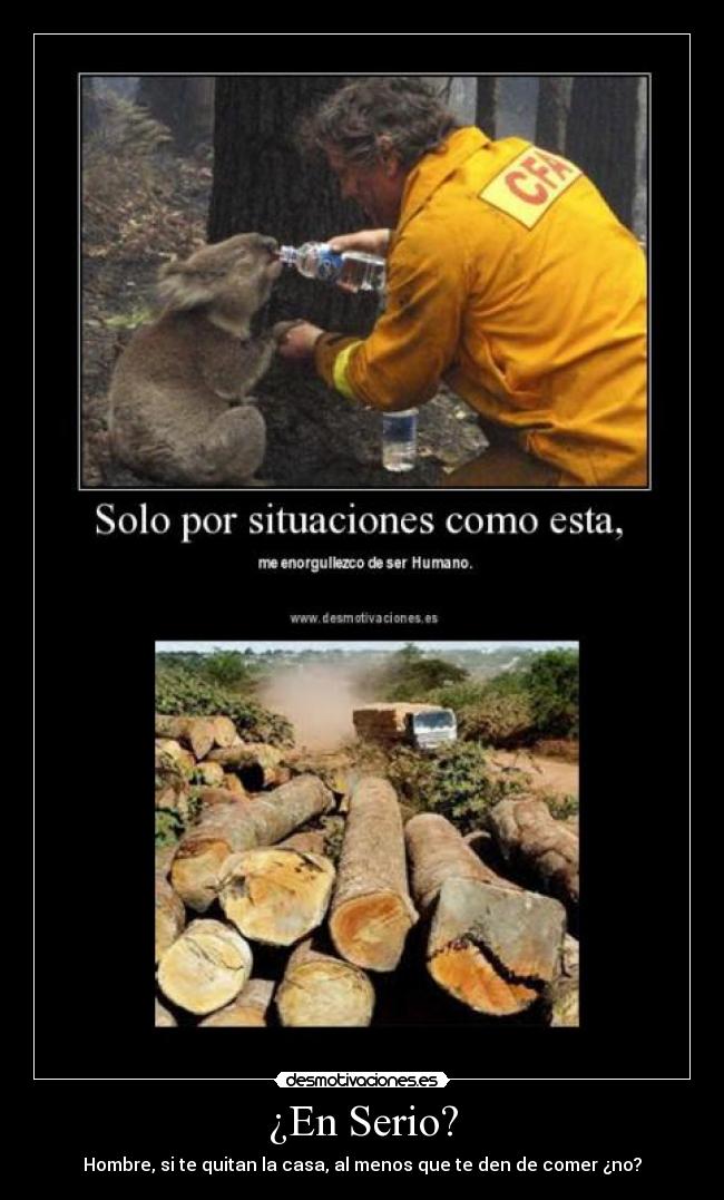 ¿En Serio? - Hombre, si te quitan la casa, al menos que te den de comer ¿no?