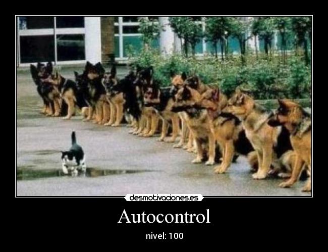 Autocontrol -