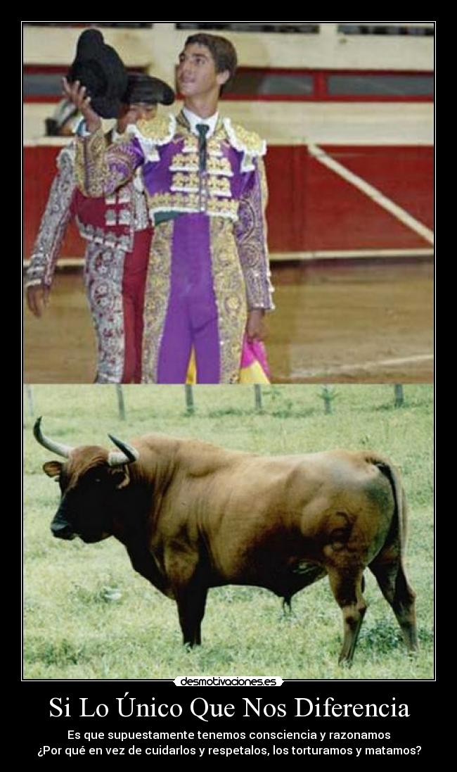 Si Lo Único Que Nos Diferencia -