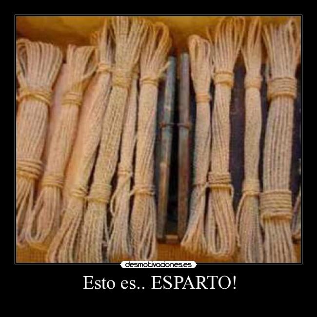 Esto es.. ESPARTO! -