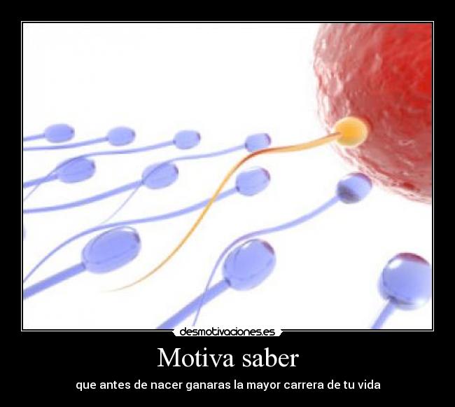 Motiva saber - que antes de nacer ganaras la mayor carrera de tu vida