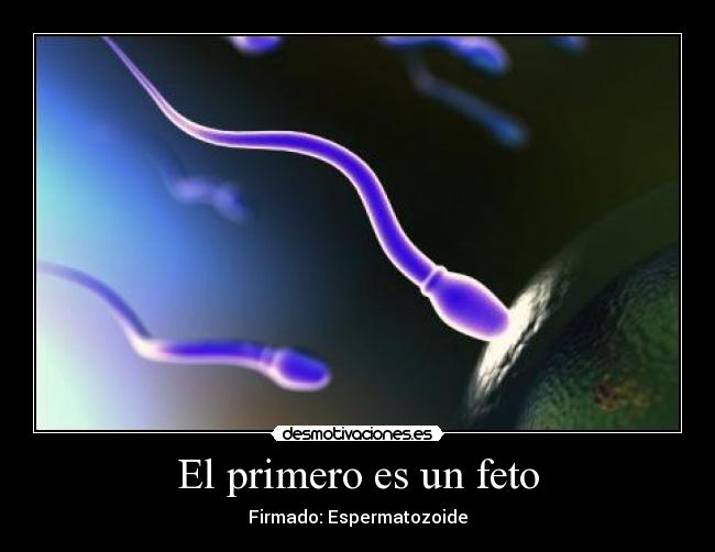 carteles joshba desmotivaciones