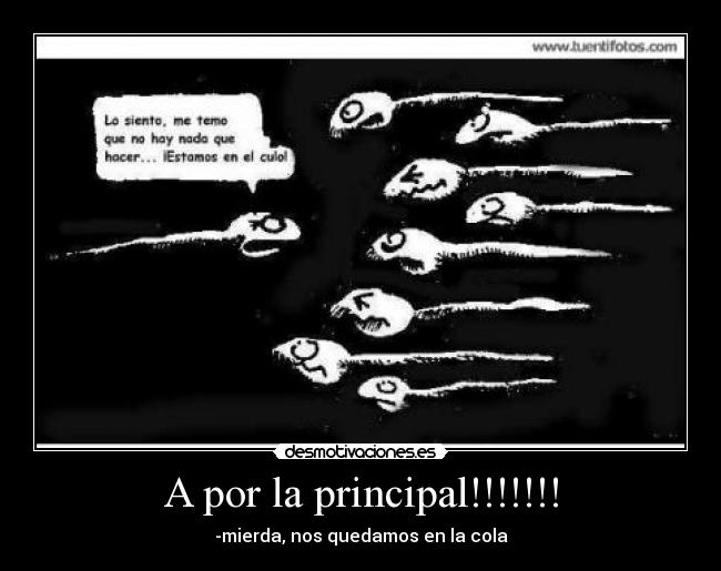 A por la principal!!!!!!! -