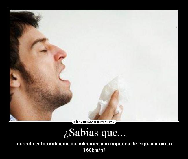¿Sabias que... - 