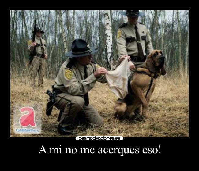 A mi no me acerques eso! - 