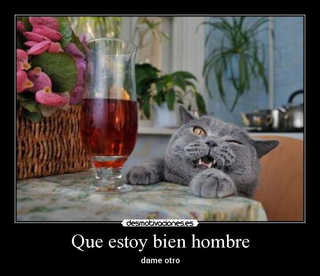 carteles borracho estoy bien trago desmotivaciones