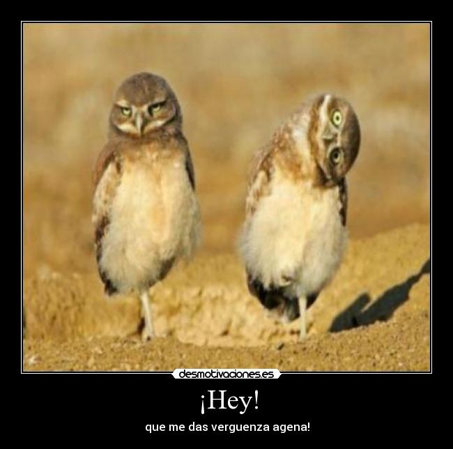 ¡Hey! - que me das verguenza agena!