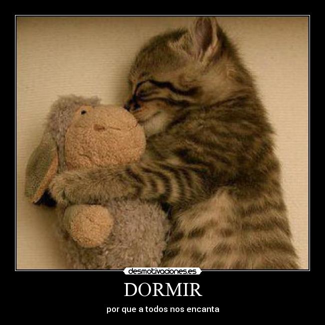 DORMIR - 