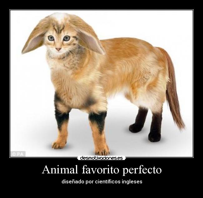 Animal favorito perfecto - diseñado por científicos ingleses