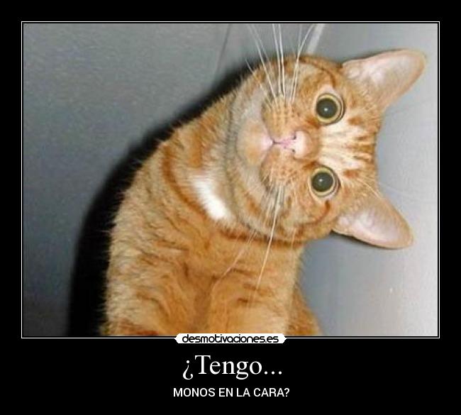 ¿Tengo... -
