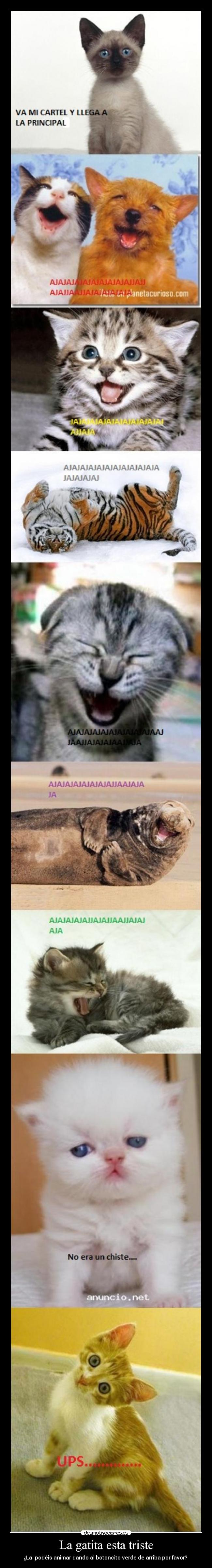 La gatita esta triste - ¿La  podéis animar dando al botoncito verde de arriba por favor? 