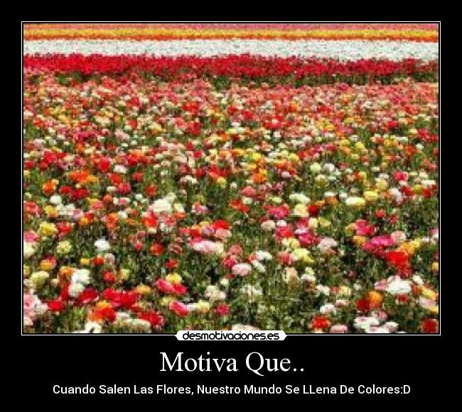Motiva Que.. - Cuando Salen Las Flores, Nuestro Mundo Se LLena De Colores:D