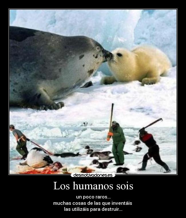 Los humanos sois -