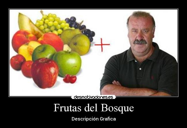 Frutas del Bosque - Descripción Grafica