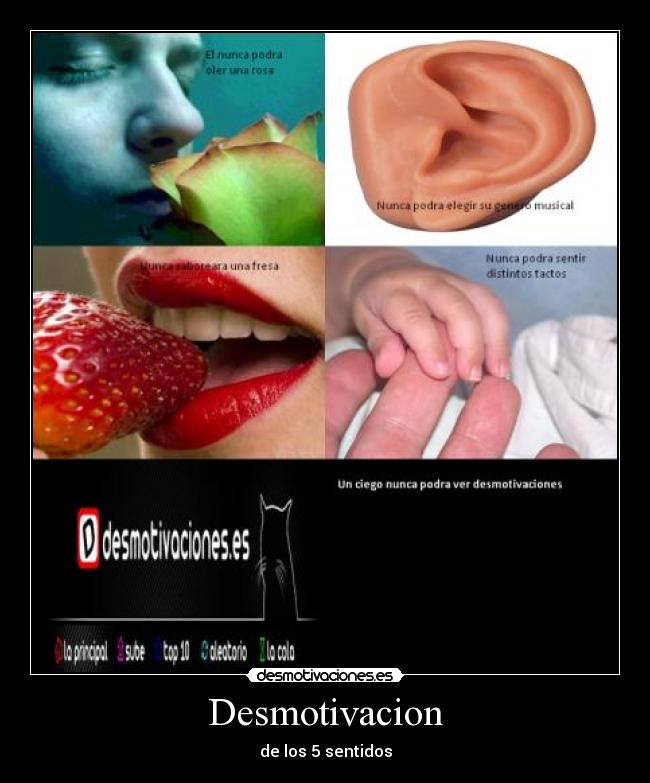 Desmotivacion - de los 5 sentidos