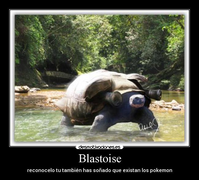 Blastoise - reconocelo tu también has soñado que existan los pokemon