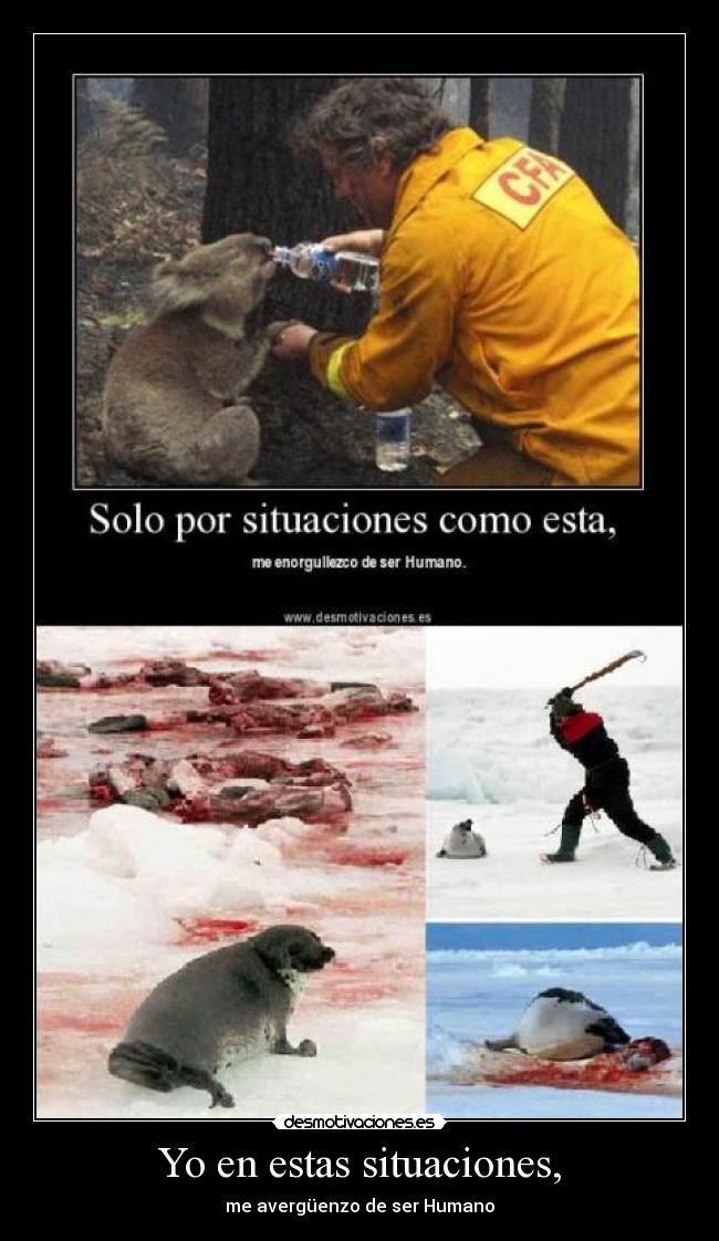 Yo en estas situaciones, -