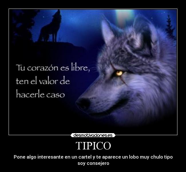 TIPICO - Pone algo interesante en un cartel y te aparece un lobo muy chulo tipo soy consejero