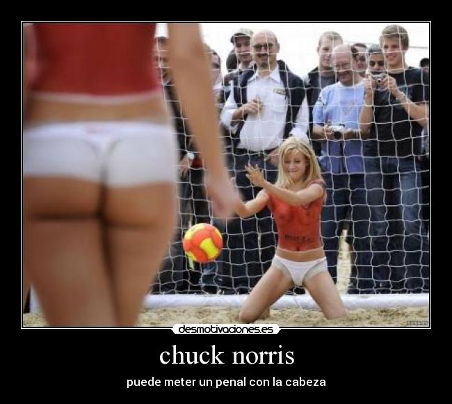 chuck norris - 
