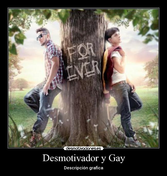 Desmotivador y Gay - 