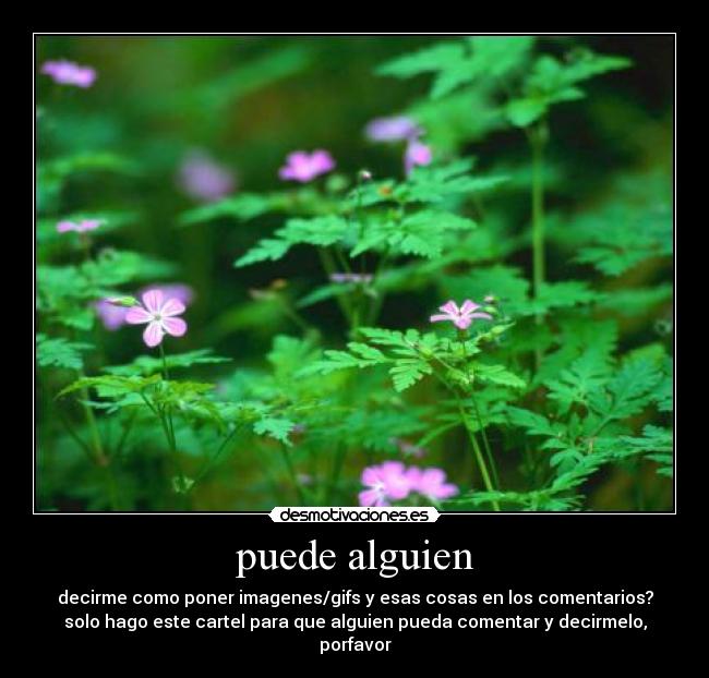 puede alguien - decirme como poner imagenes/gifs y esas cosas en los comentarios?
solo hago este cartel para que alguien pueda comentar y decirmelo, porfavor