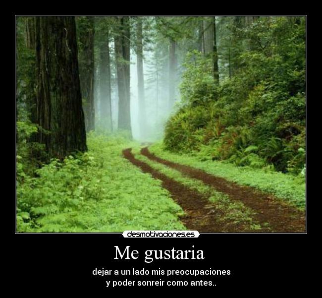 Me gustaria  - dejar a un lado mis preocupaciones
y poder sonreir como antes..