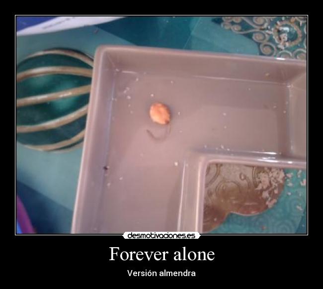 Forever alone - Versión almendra