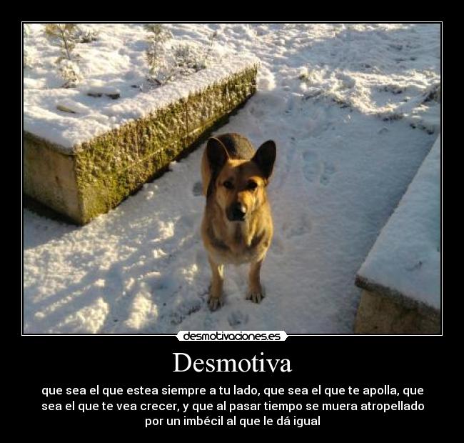 Desmotiva - 