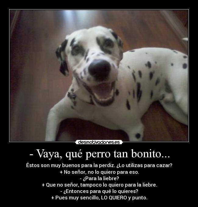 - Vaya, qué perro tan bonito... -