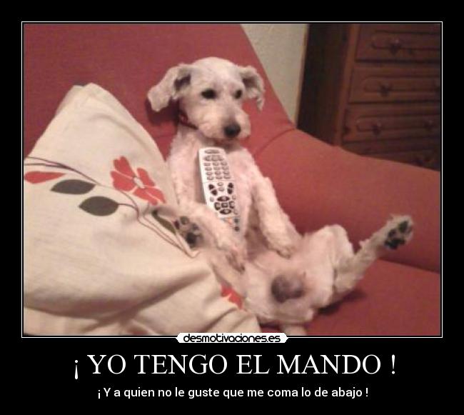 ¡ YO TENGO EL MANDO ! -